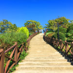 Fatih Korusu, otağtepe