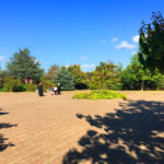 Fatih Korusu, otağtepe