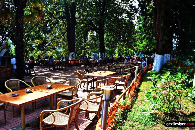 Ziraat Çay Bahçesi Gezi Rehberi Nerede ve Nasıl Gidilir