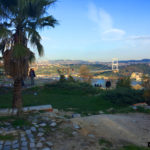 İstanbul - duatepesi parki 07