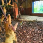 Kocaeli - darica hayvanat bahcesi gezilesiyer 06 Kocaeli - darica hayvanat bahcesi gezilesiyer 06