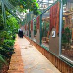 Kocaeli - darica hayvanat bahcesi gezilesiyer 07 Kocaeli - darica hayvanat bahcesi gezilesiyer 07