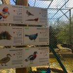 Kocaeli - darica hayvanat bahcesi gezilesiyer 08 Kocaeli - darica hayvanat bahcesi gezilesiyer 08