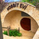 Kocaeli - darica hayvanat bahcesi gezilesiyer 10 Kocaeli - darica hayvanat bahcesi gezilesiyer 10