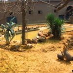 Kocaeli - darica hayvanat bahcesi gezilesiyer 11 Kocaeli - darica hayvanat bahcesi gezilesiyer 11