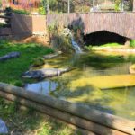 Kocaeli - darica hayvanat bahcesi gezilesiyer 18 Kocaeli - darica hayvanat bahcesi gezilesiyer 18