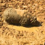 Kocaeli - darica hayvanat bahcesi gezilesiyer 20 Kocaeli - darica hayvanat bahcesi gezilesiyer 20