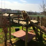 Kocaeli - darica hayvanat bahcesi gezilesiyer 21 Kocaeli - darica hayvanat bahcesi gezilesiyer 21