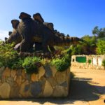 Kocaeli - darica hayvanat bahcesi gezilesiyer 22 Kocaeli - darica hayvanat bahcesi gezilesiyer 22