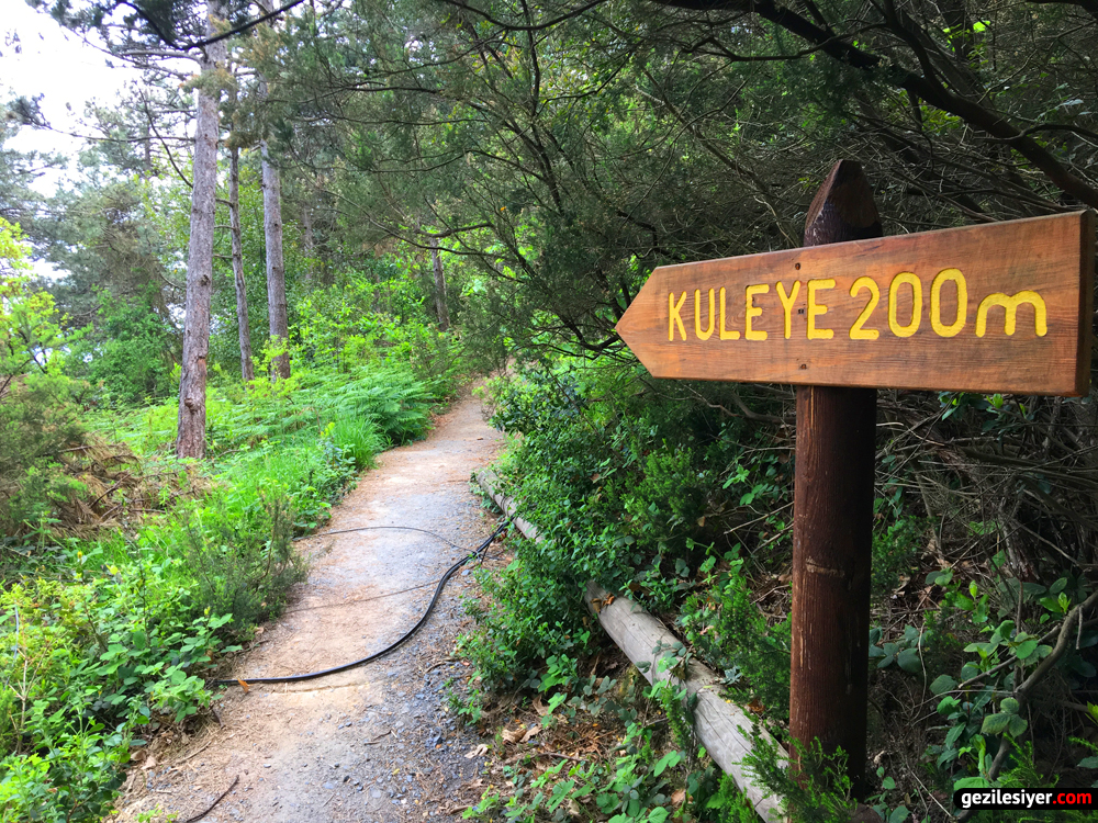 İstanbul - Feneryolu Kuş Gözlem Kulesi 02