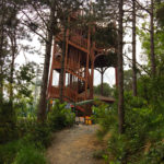 İstanbul - Feneryolu Kuş Gözlem Kulesi 03