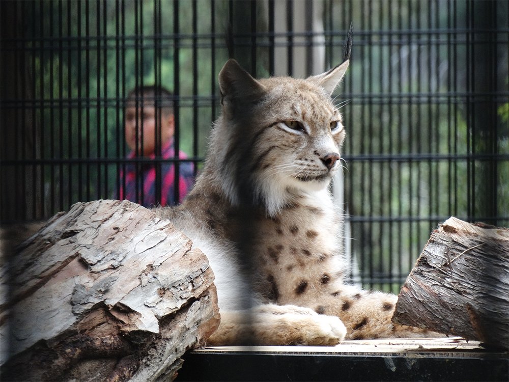 Mersin - Tarsus Hayvanat Bahcesi Tarsus Hayvanat Bahçesi