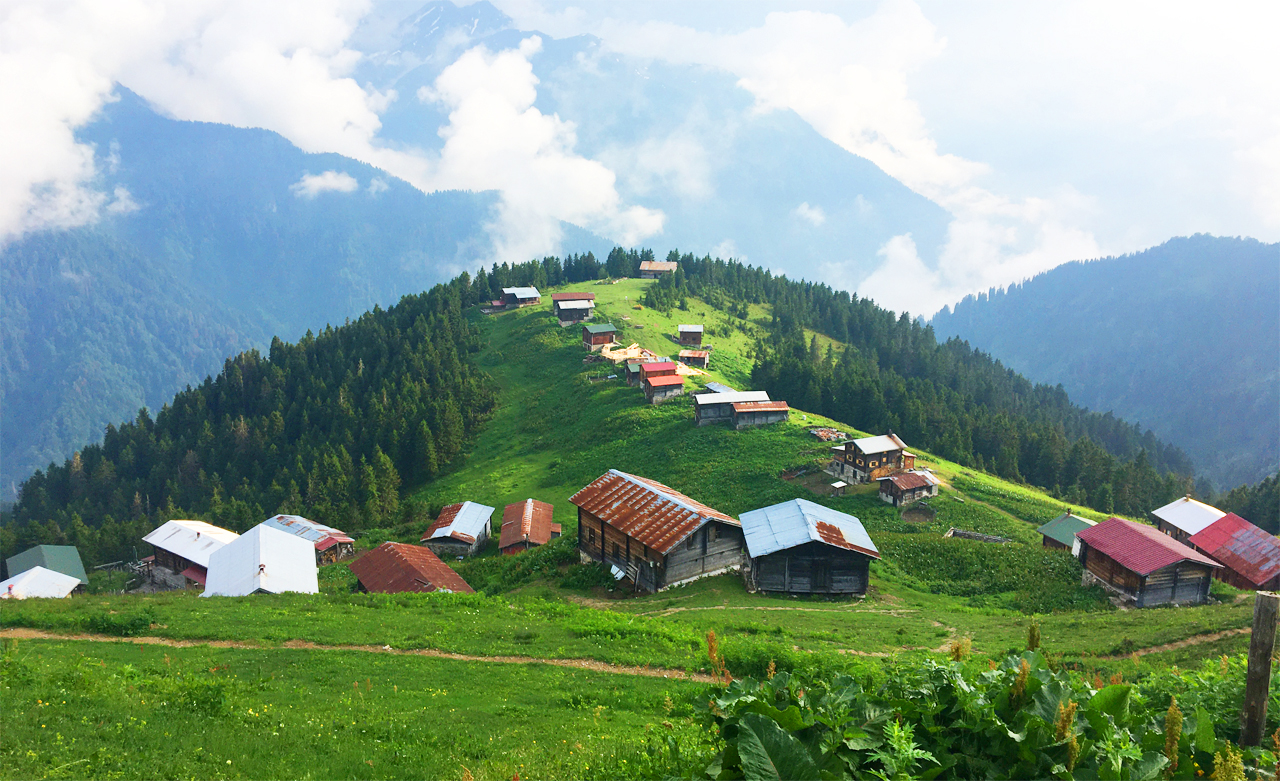 Karadeniz - pokut yaylasi nerede