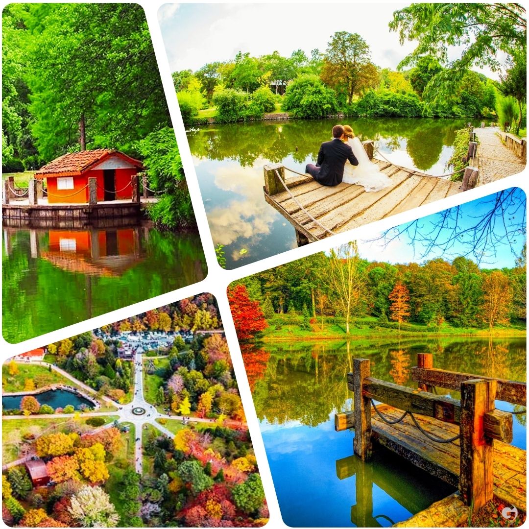 İstanbul - Ataturk Arboretumu