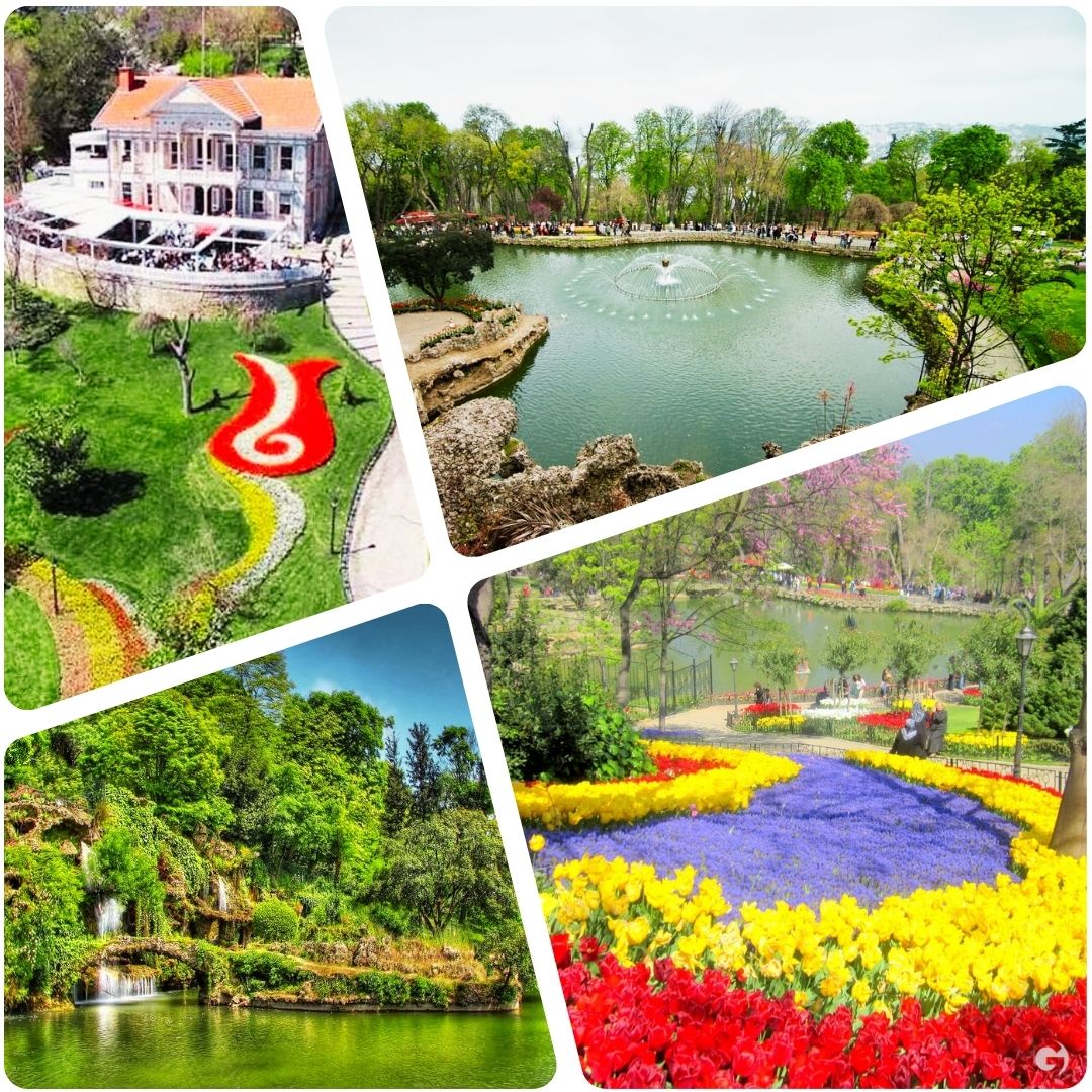 İstanbul - emirgan korusu